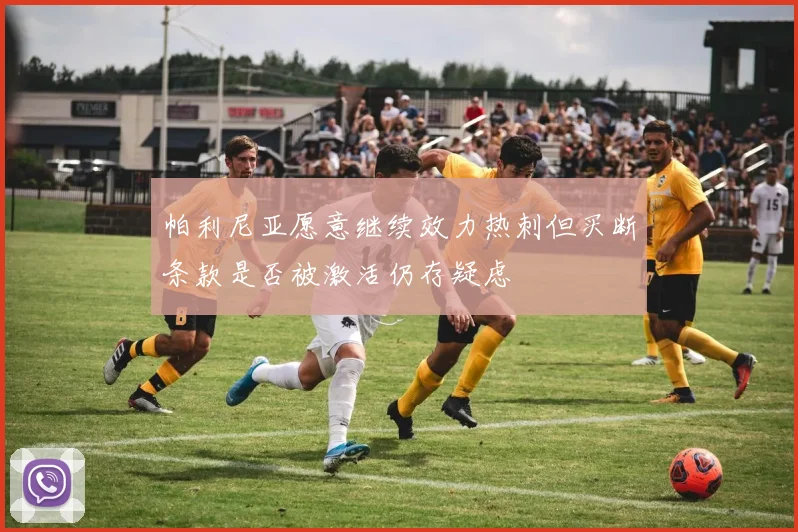 帕利尼亚愿意继续效力热刺但买断条款是否被激活仍存疑虑